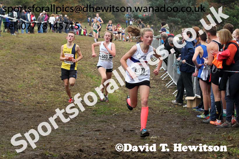 Girls under-13s, National Cross Country Relays, Berry Park, Mansfield. Photo: David T. Hewitson/Sports for All Pics